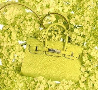 hermes_tiny_kelly_bags_collection_11_nmk