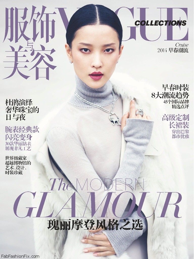 Vogue_China_Collections_Cruise_2014__December_2013_Supplement__-_Du_Juan_by_Cedric_Buchet-00-cover