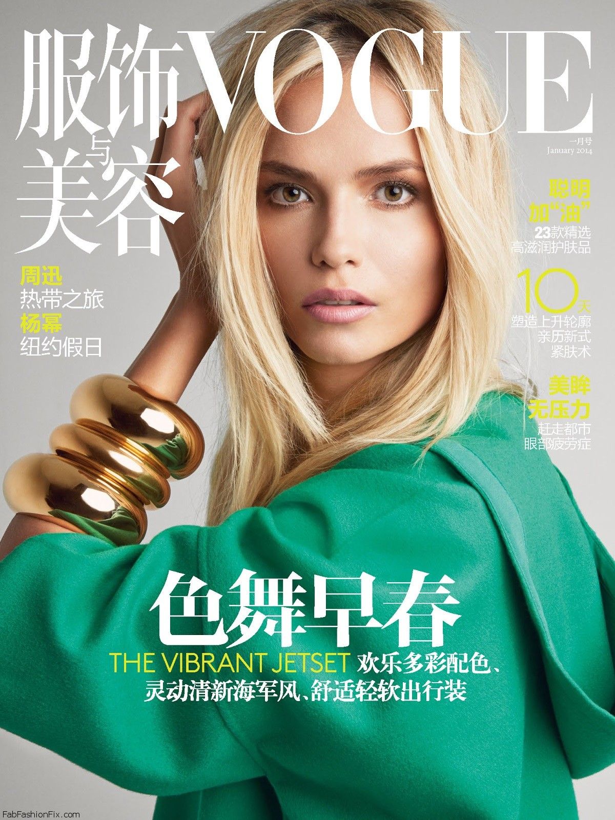 Natasha Poly by Patrick Demarchelier for Vogue China January 2014 (Colour Me Happy) (0)-cover