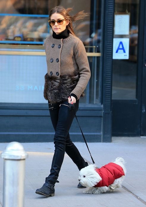 Olivia Palermo puts on her sunglasses while walking her dog Mr. Butler on a chilly morning in Brooklyn, NY